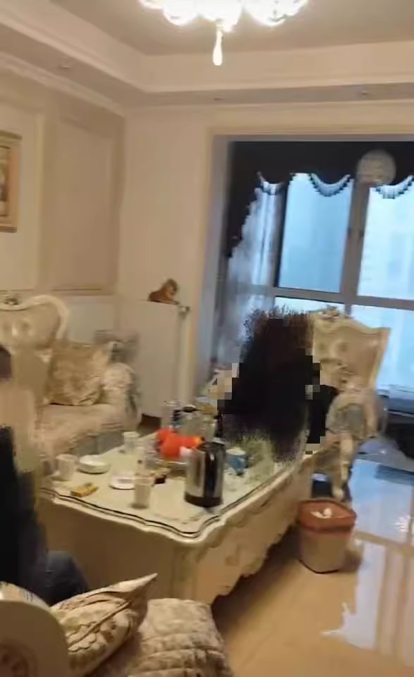 （6折 雙學(xué)位）北辰鳳凰天階苑法拍房B2E2區(qū)17055房